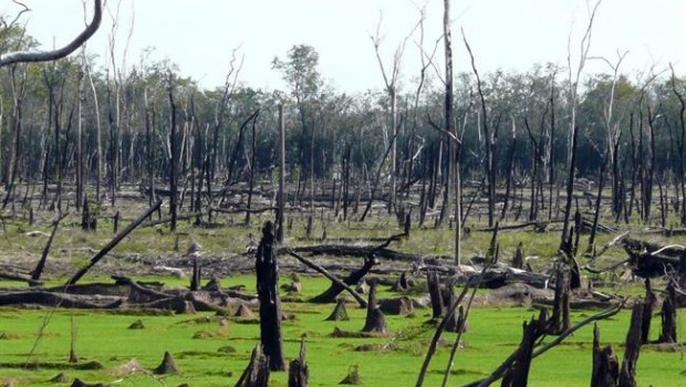 ep llanura inundable arrasadafuego