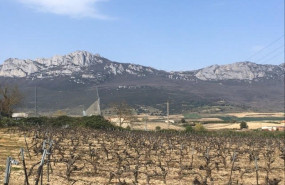 ep vinedos en laguardia rioja alavesa