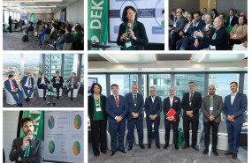 imagen rsr 2023 collage 20231124121531 imagen rsr 2023 collage 20231124121531