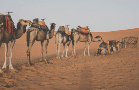 1573904947 galeria 2 horizontal