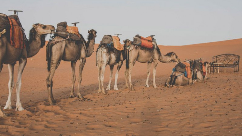 1573904947 galeria 2 horizontal