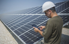 1584973463 ndp shar q