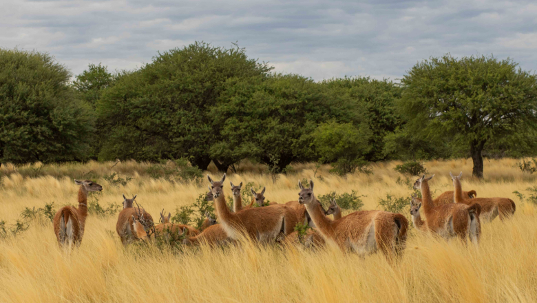 1644493984 ademsd 1 20220211103833 