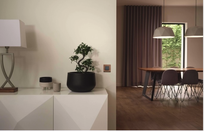 1647592475 captura de pantalla 2022 03 18 a las 93508