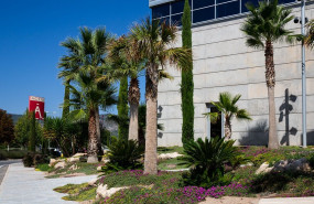 actiu 2019 well platino 26