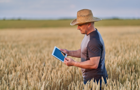agricultor agricultor
