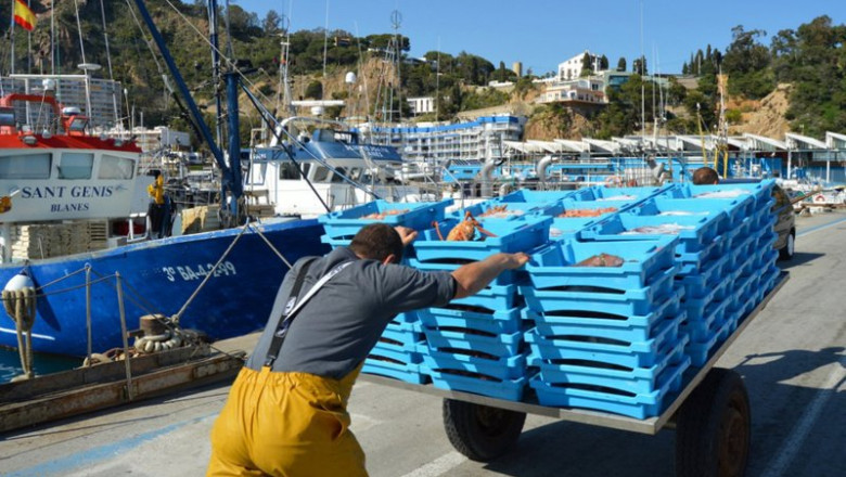 ep archivo   cofradia de pescadores de blanes