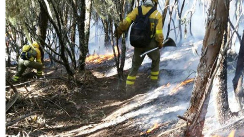 Bomberos forestales luchando contra las llamas en Canarias | MINISTERIO DE AGRICULTURA, PESCA Y ALIMENTACIÓN ep bomberos forestales luchandolas llamascanarias