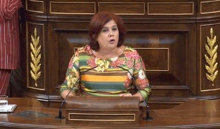 ep la diputadapsoe elvira ramoncongreso