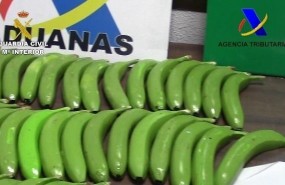 ep la drogaencontraba ocultainteriorlas bananas
