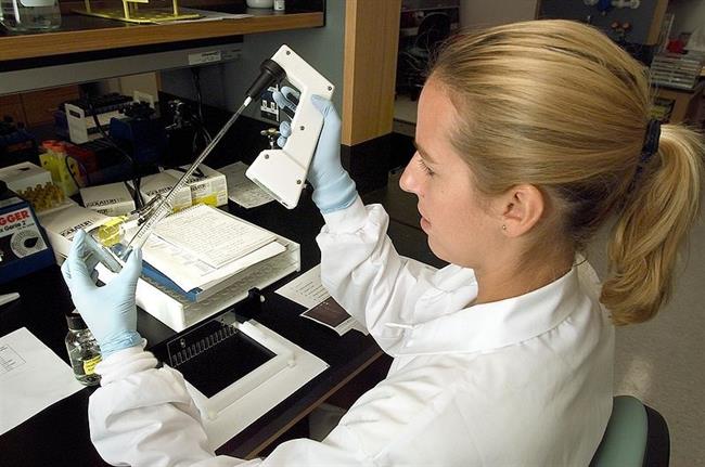 laboratorio | WIKIMEDIA COMMONS ep laboratorio 20170612141804