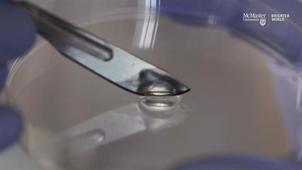 ep los ingenierosmcmasterse especializanenfermedades infecciosascreadogeldestruyebacteriasesta compuesto completamentevirus amigables gelcurarsecuandocorta
