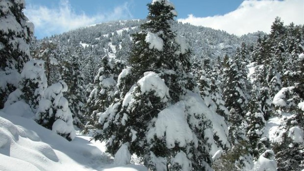 ep pinsaparparque nacional sierralas nieves