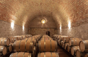 ep vega sicilia celebra el 40 aniversario de la compra de la bodega por la familia alvarez