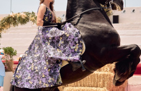 msom0071 1280x1707 msom0071 1280x1707