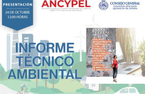 presentacion informe ancypel presentacion informe ancypel