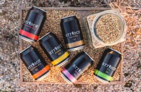 1581331104 arriaca cerveza artesana latas