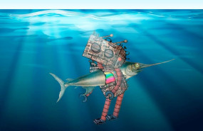 1595843308 el guerrero del seo se lleva el trofeo