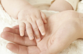 captura de pantalla 2025 08 18 a les 212509