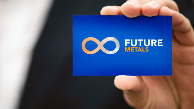 dl future metals nl aim platinum western australia project exploration development logo