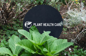 dl plant health care aim agriculture biotechnology pests diseases prevention technology developer logo dl plant health care aim agriculture biotechnology pests diseases prevention technology developer logo
