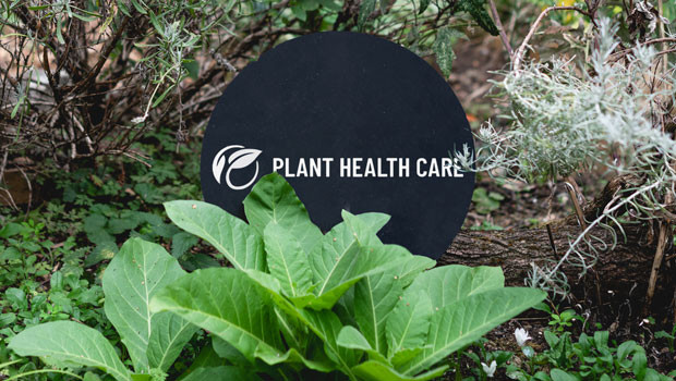 dl plant health care aim agriculture biotechnology pests diseases prevention technology developer logo