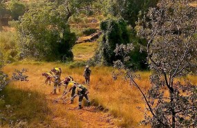 ep brigada forestal murciaincendio yeste