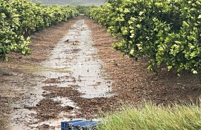ep campo tras las lluvias de septiembre de 2025