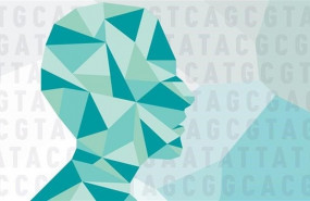 ep datos geneticos de 200000 personas revelan que la heredabilidad del trastorno de estres