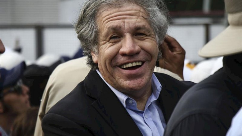 ep el secretario general de la organizacion de estados americanos oea luis almagro