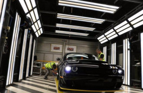 ep imagen de una planta de fca