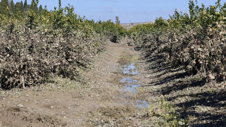 ep imagen de zonas agricolas afectadas por el tren de borrascas en jerez de la frontera cadiz