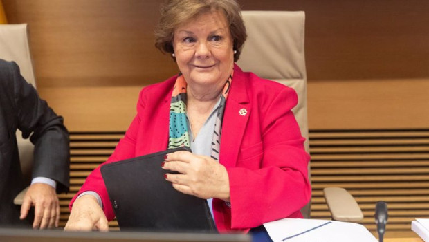 ep la presidenta del tribunal de cuentas enriqueta chicano durante su comparecencia en la comision