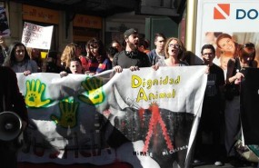 ep los manifestantesprotestadocoincidenciauna corrida