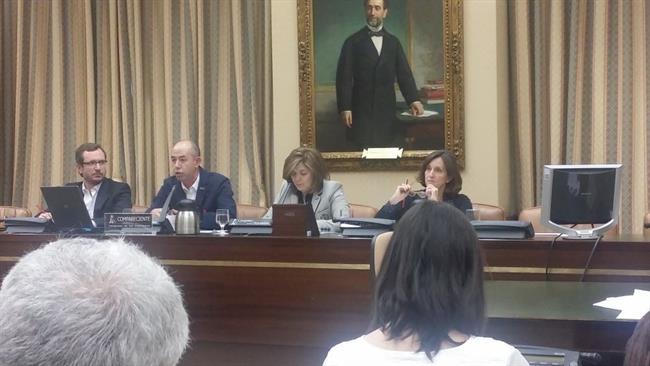 Presidente de la FLGTBI Jesús Generelo en el Congreso | ISABEL SALUD/TWITTER ep presidentela flgtbi jesus generelocongreso