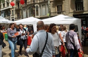 ep sant jordi