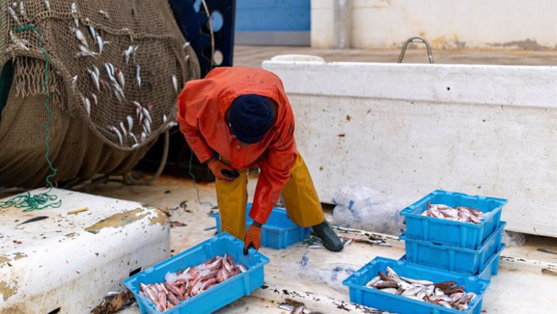 ep un hombre trabaja en el puerto de arenys a 11 de diciembre de 2024 en arenys de mar barcelona ep un hombre trabaja en el puerto de arenys a 11 de diciembre de 2024 en arenys de mar barcelona