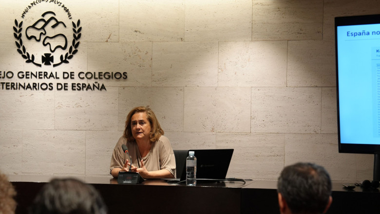 foto 1 20250617182309 