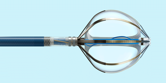 imagen1 20260219120413