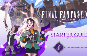 1238643 starterguide1