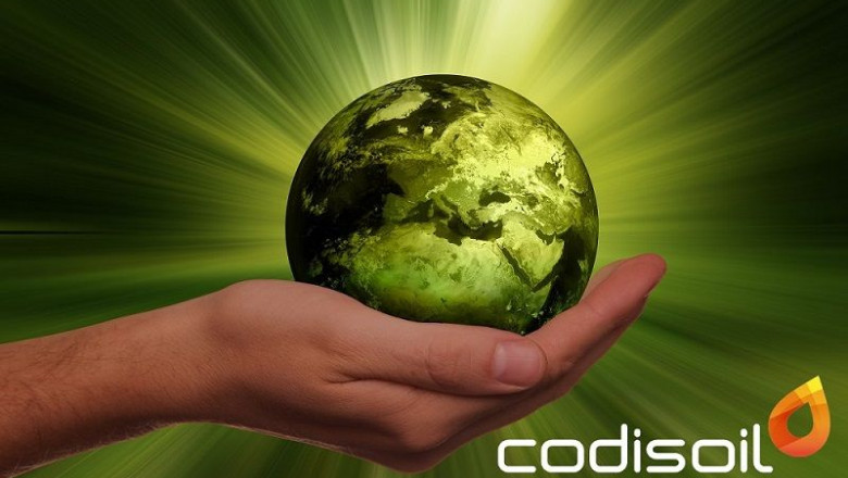 1576148869 acciones codisoil por el medioambiente desarrollo sostenible