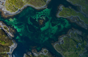 1601545505 atos ecoact bg homepage 1601545505 atos ecoact bg homepage