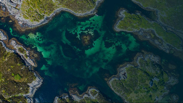 1601545505 atos ecoact bg homepage