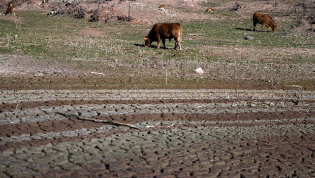 ep archivo   animales en el pantano de sau