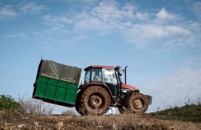 ep archivo   un tractor recoge las cajas de esparragos verdes que los jornaleros han recolectado en