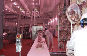 ep brf gana 59 millones en 2019 por su record en ventas y el refuerzo de sus marcas