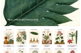 ep calendarioreal jardin botanico