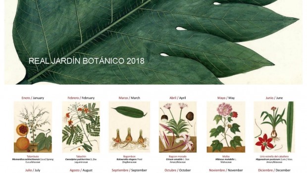 ep calendarioreal jardin botanico