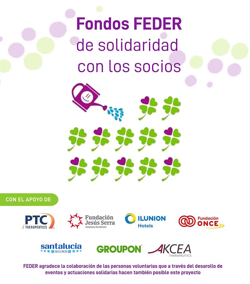 ep cartel de la convocatoria de las ayudas de feder