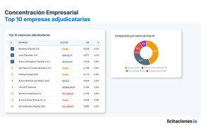 ep concentracion empresarial top 10 empresas ajudicatarias